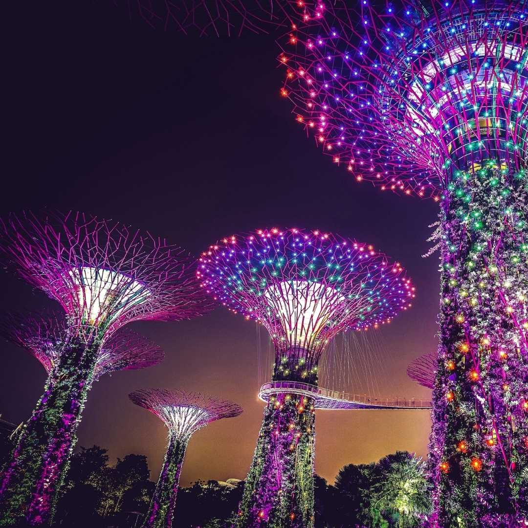 Gardens by the Bay