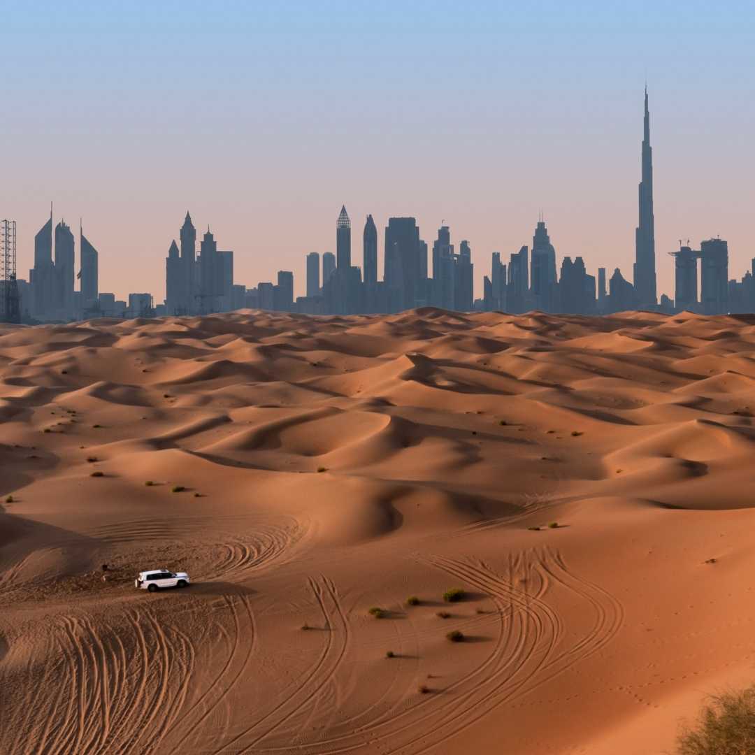 Desert Safari