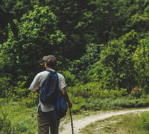 Trekking